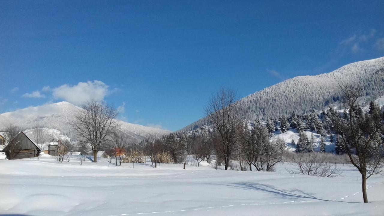 Sadyba U Anastasijky Synevyr Exterior foto