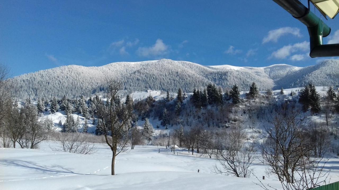 Sadyba U Anastasijky Synevyr Exterior foto